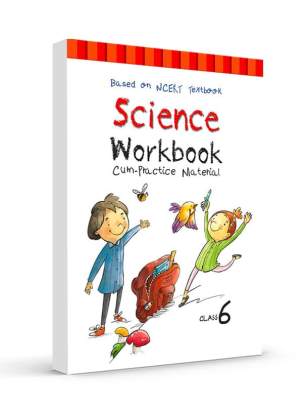 RACHNASAGAR SCIENCE WORKBOOK STD.6 